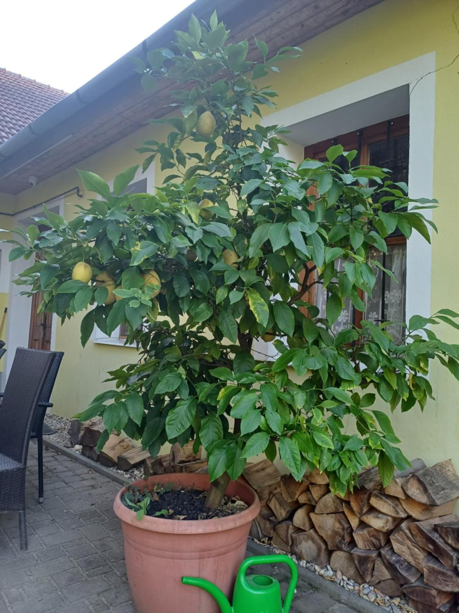 Zanati Apartmannhaz Nagykapornak Exterior photo